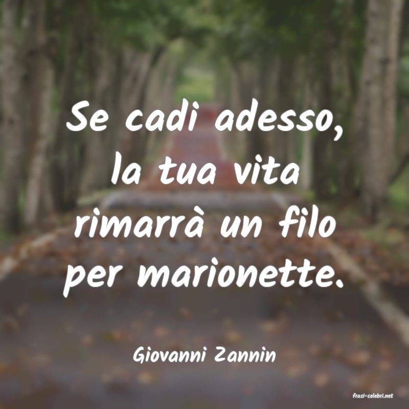 frasi di  Giovanni Zannin
