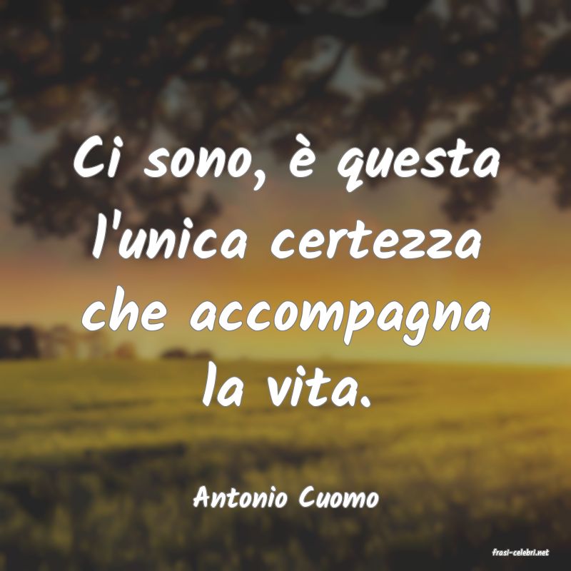 frasi di  Antonio Cuomo
