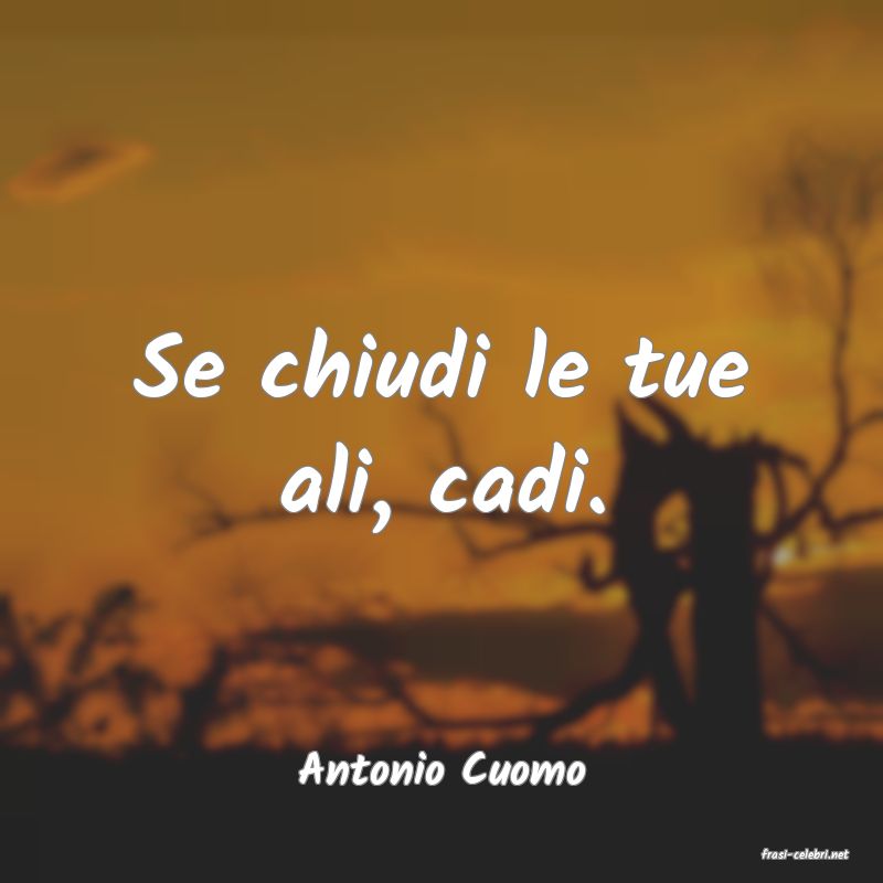 frasi di  Antonio Cuomo
