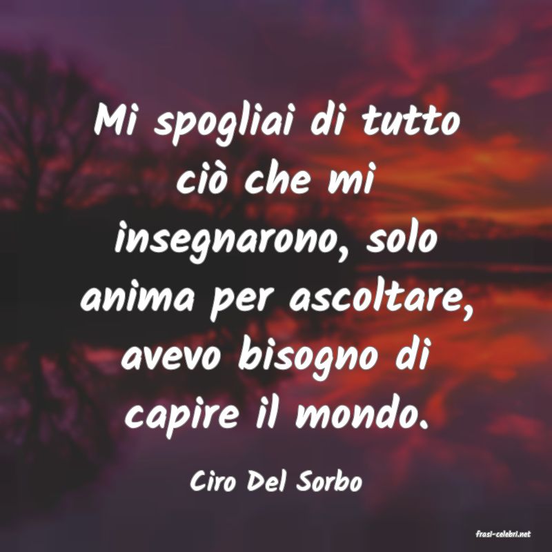 frasi di  Ciro Del Sorbo

