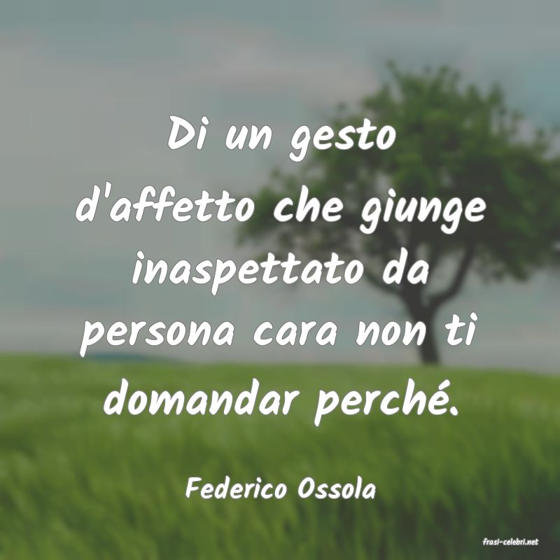 frasi di  Federico Ossola
