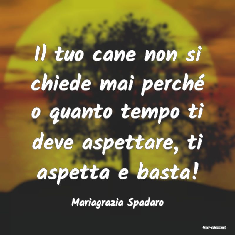 frasi di  Mariagrazia Spadaro
