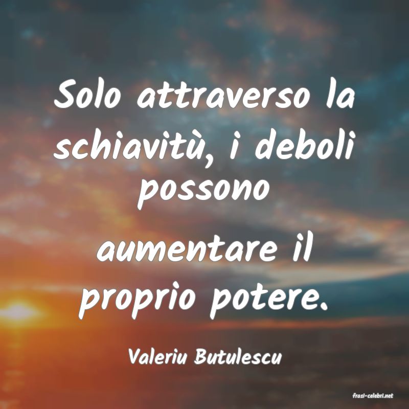 frasi di  Valeriu Butulescu
