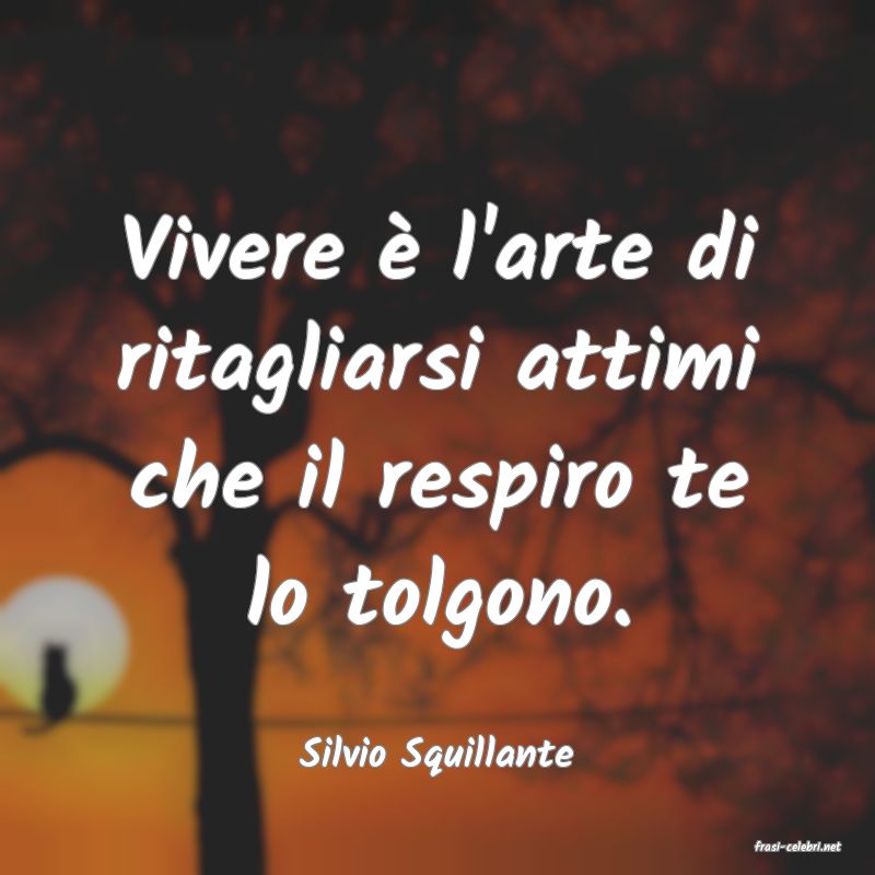 frasi di  Silvio Squillante
