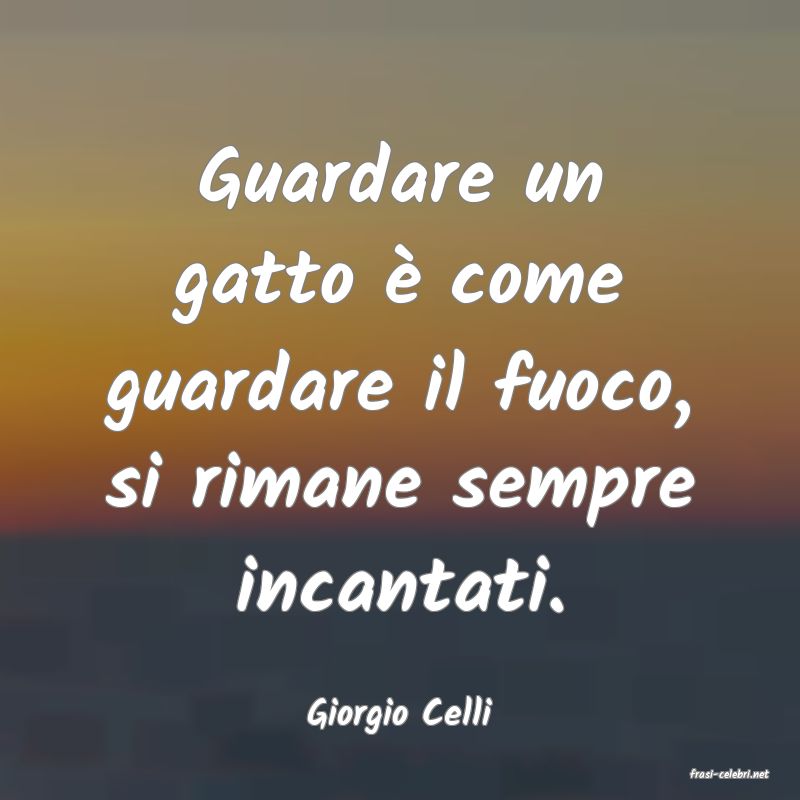 frasi di Giorgio Celli