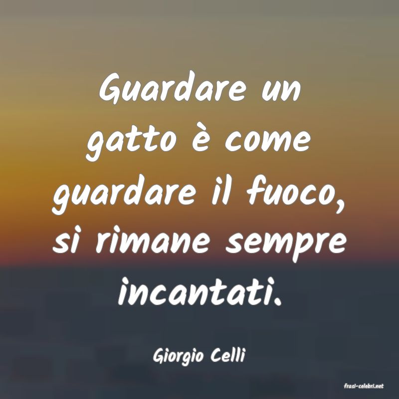 frasi di Giorgio Celli