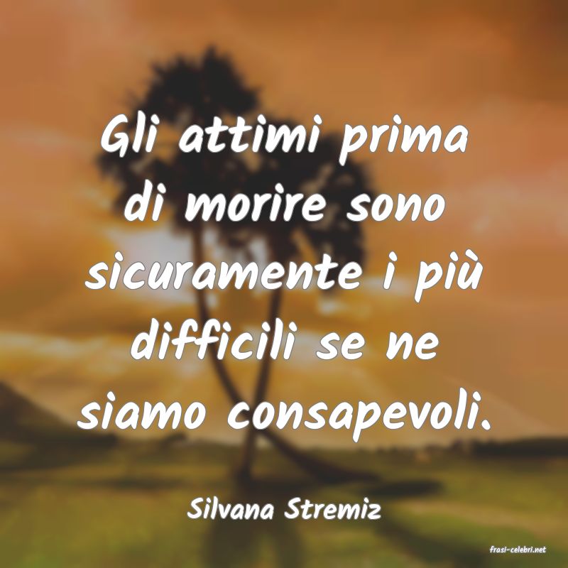 frasi di Silvana Stremiz