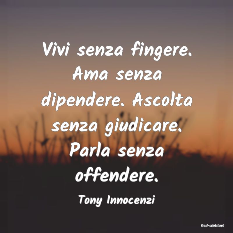 frasi di  Tony Innocenzi
