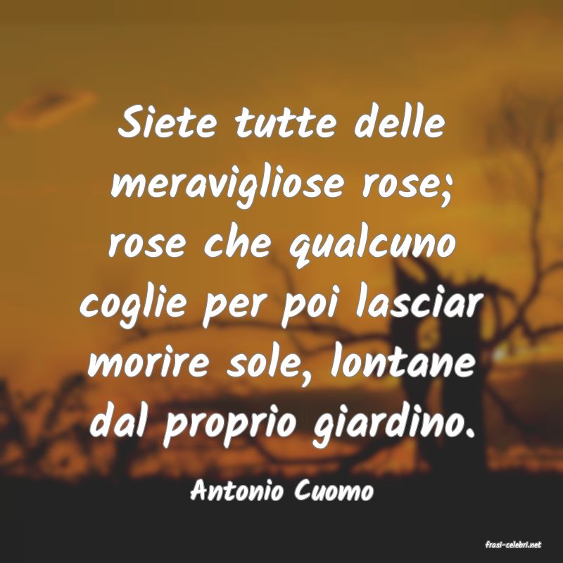 frasi di  Antonio Cuomo
