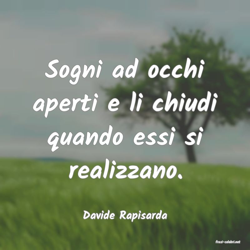 frasi di  Davide Rapisarda
