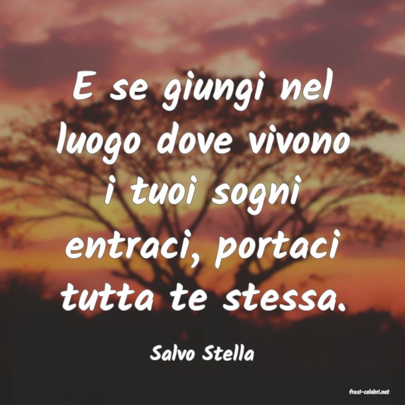 frasi di  Salvo Stella
