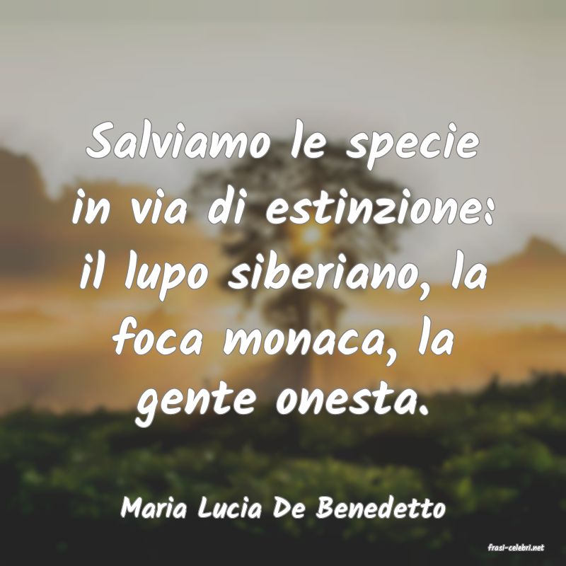 frasi di Maria Lucia De Benedetto