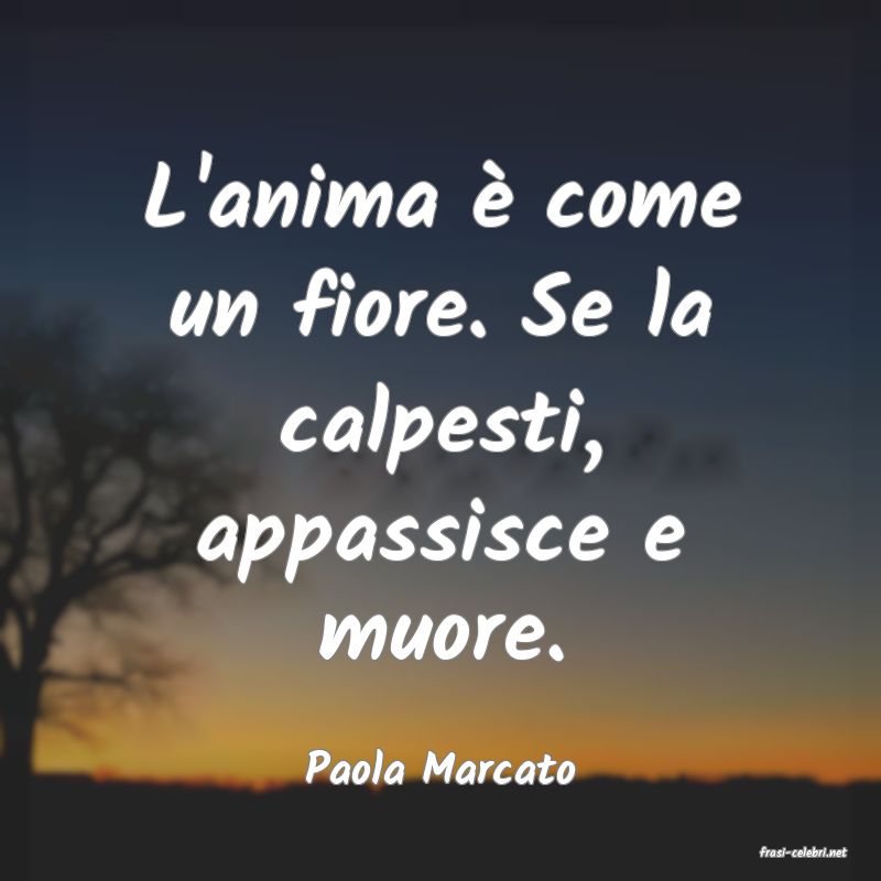 frasi di  Paola Marcato
