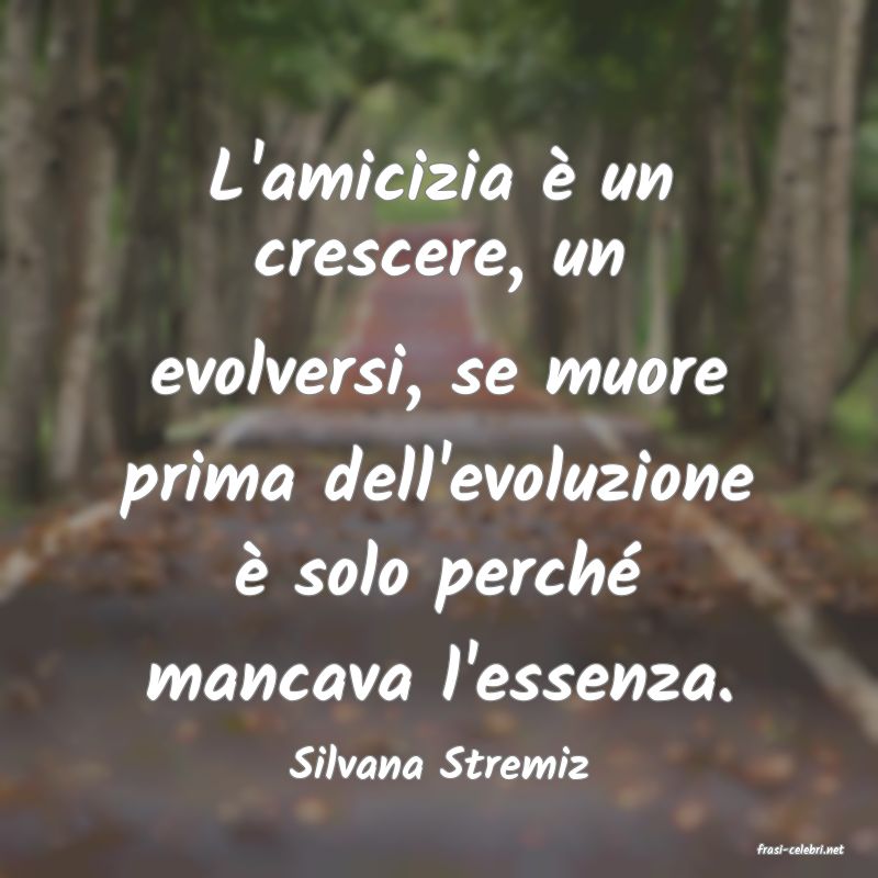 frasi di Silvana Stremiz