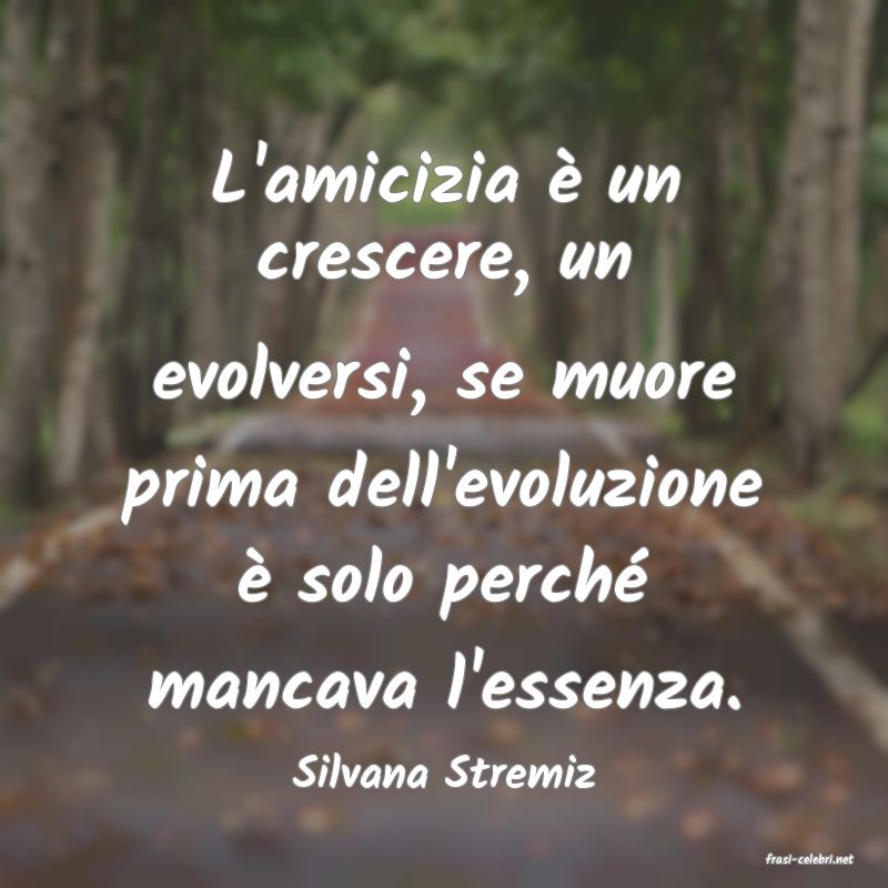 frasi di  Silvana Stremiz
