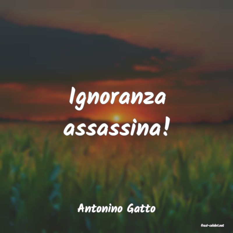 frasi di Antonino Gatto
