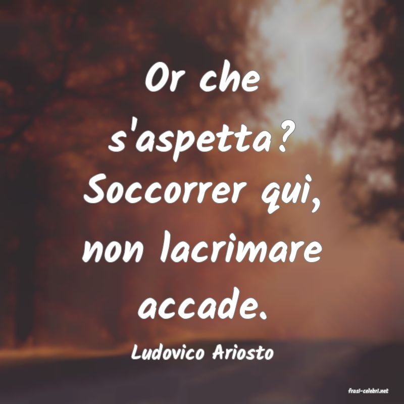 frasi di  Ludovico Ariosto
