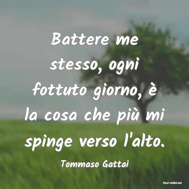 frasi di  Tommaso Gattai
