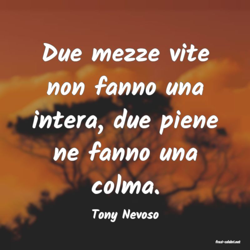 frasi di  Tony Nevoso
