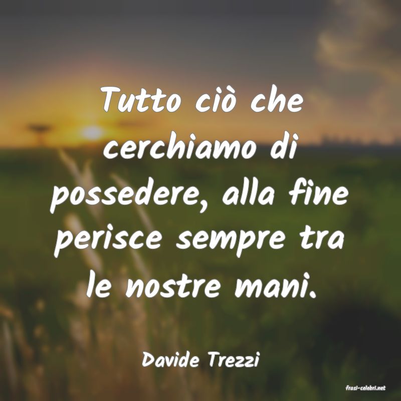 frasi di Davide Trezzi