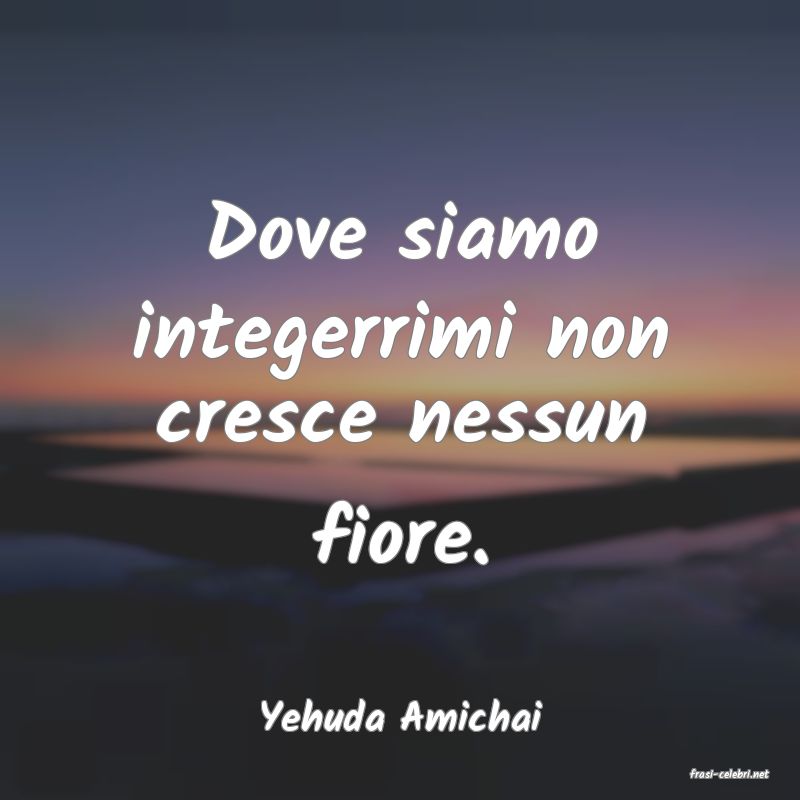 frasi di Yehuda Amichai