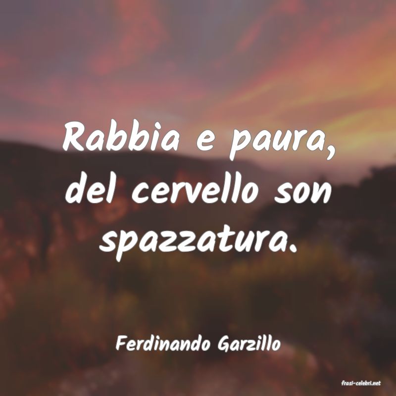frasi di  Ferdinando Garzillo

