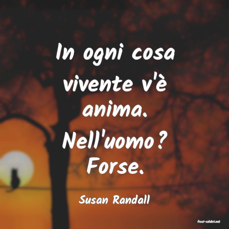 frasi di  Susan Randall
