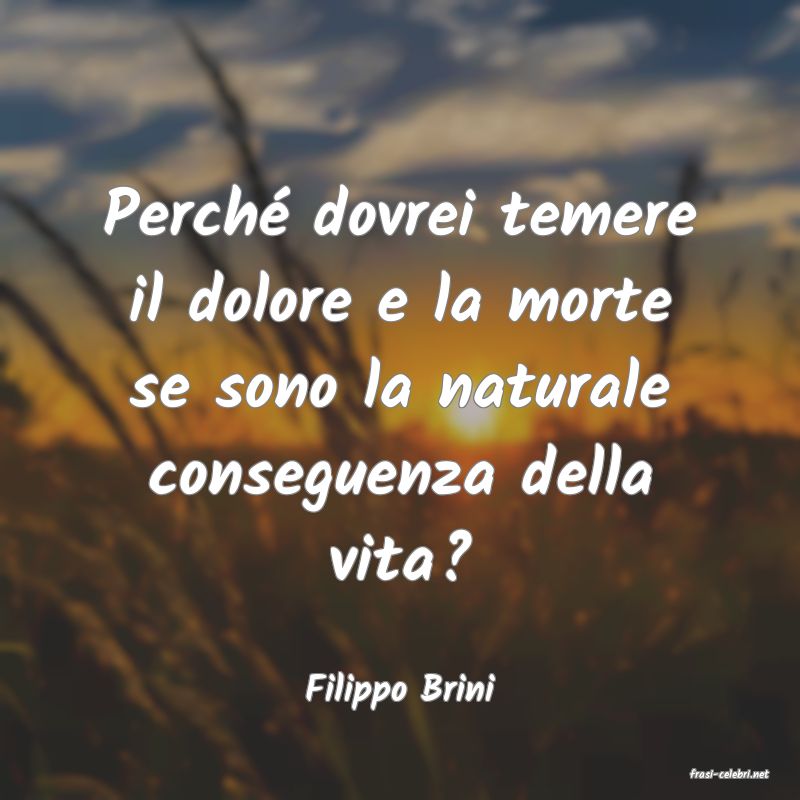 frasi di  Filippo Brini
