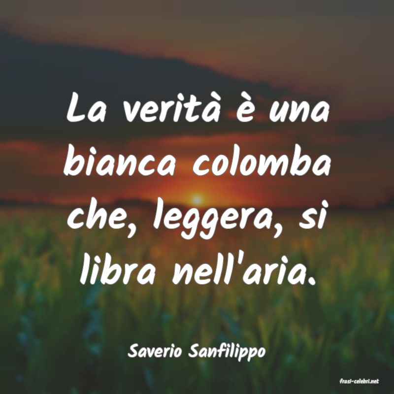 frasi di Saverio Sanfilippo