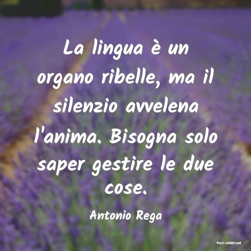 frasi di  Antonio Rega
