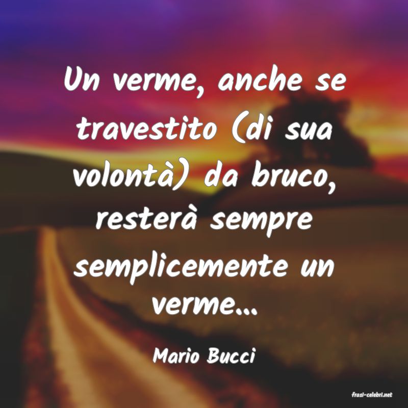 frasi di  Mario Bucci
