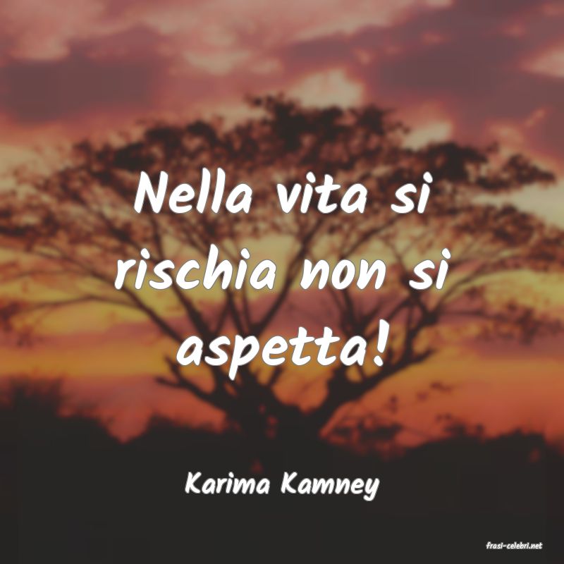frasi di  Karima Kamney
