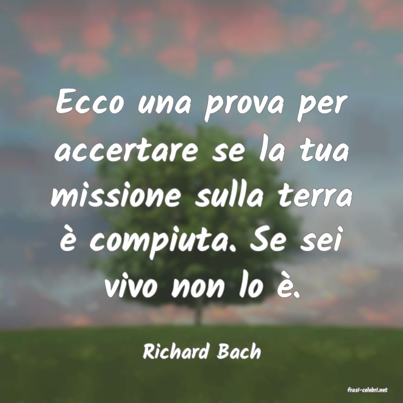 frasi di  Richard Bach
