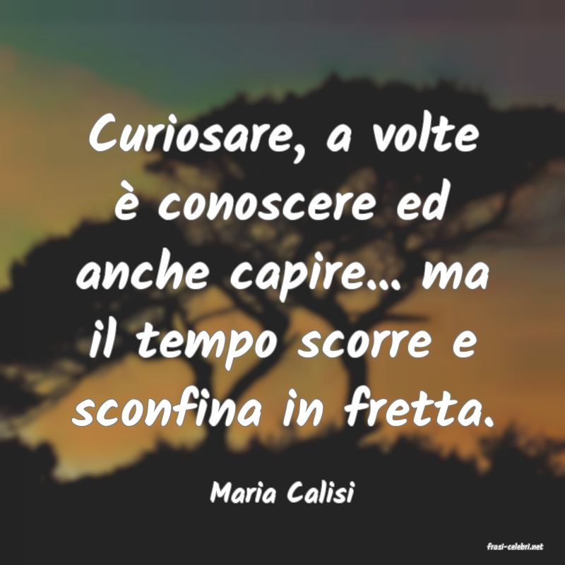 frasi di  Maria Calisi
