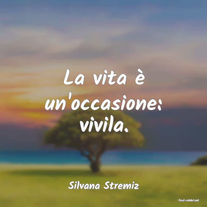 frasi di Silvana Stremiz