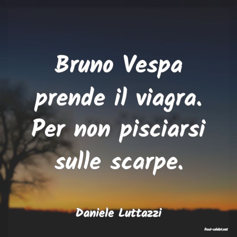 frasi di Daniele Luttazzi
