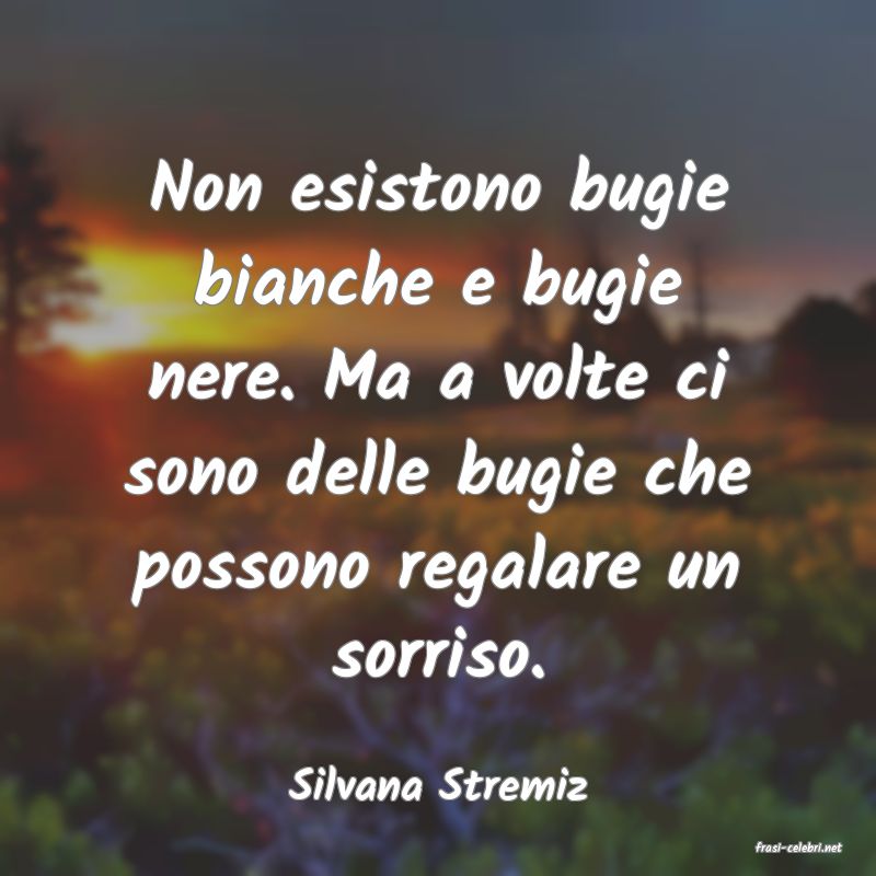 frasi di Silvana Stremiz
