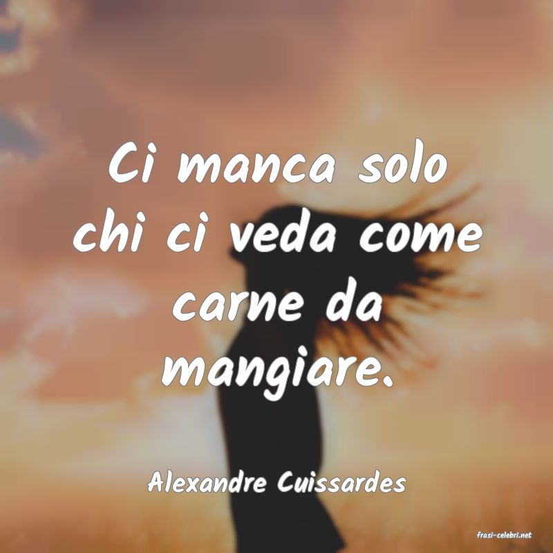 frasi di  Alexandre Cuissardes
