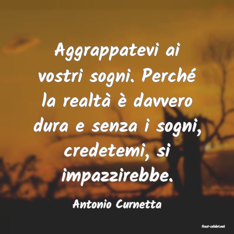 frasi di  Antonio Curnetta
