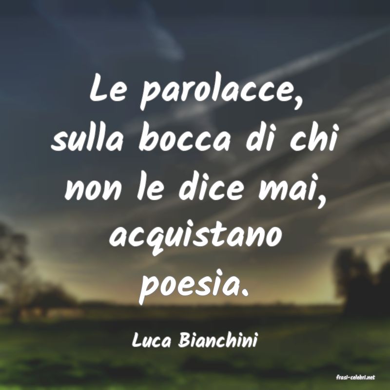 frasi di  Luca Bianchini
