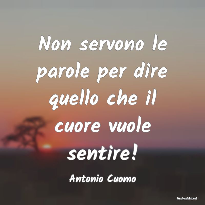 frasi di  Antonio Cuomo
