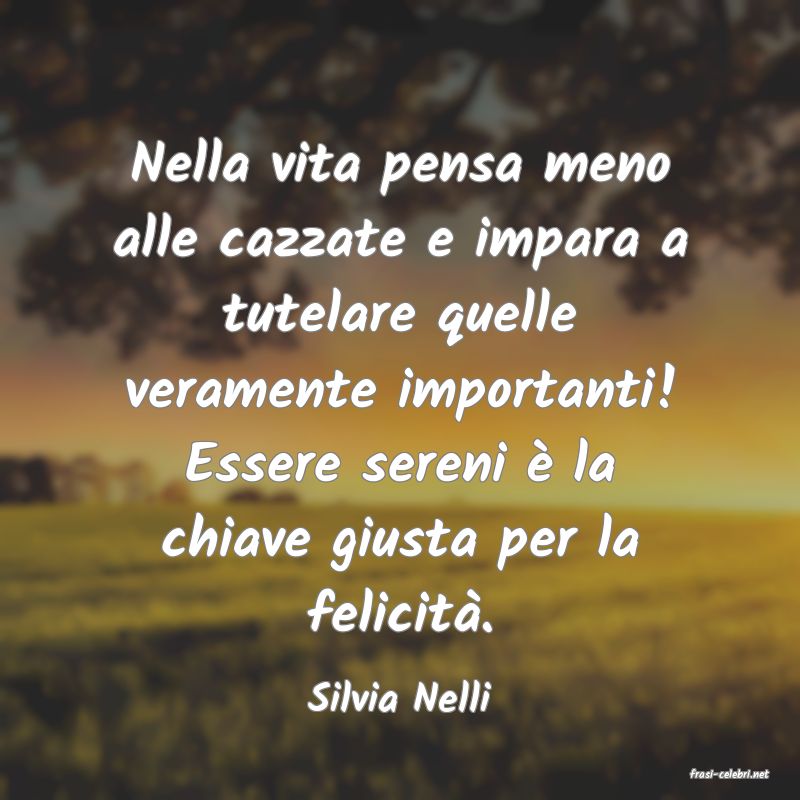 frasi di  Silvia Nelli
