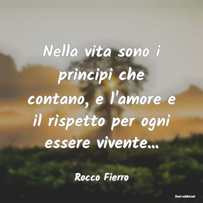 frasi di  Rocco Fierro
