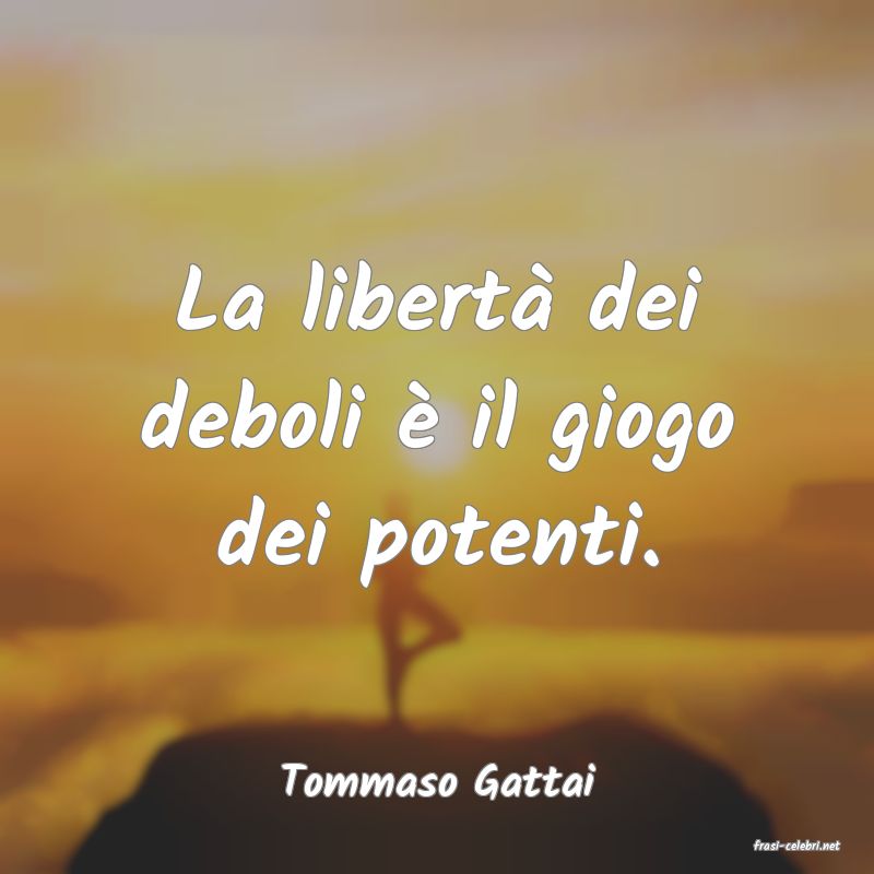 frasi di Tommaso Gattai