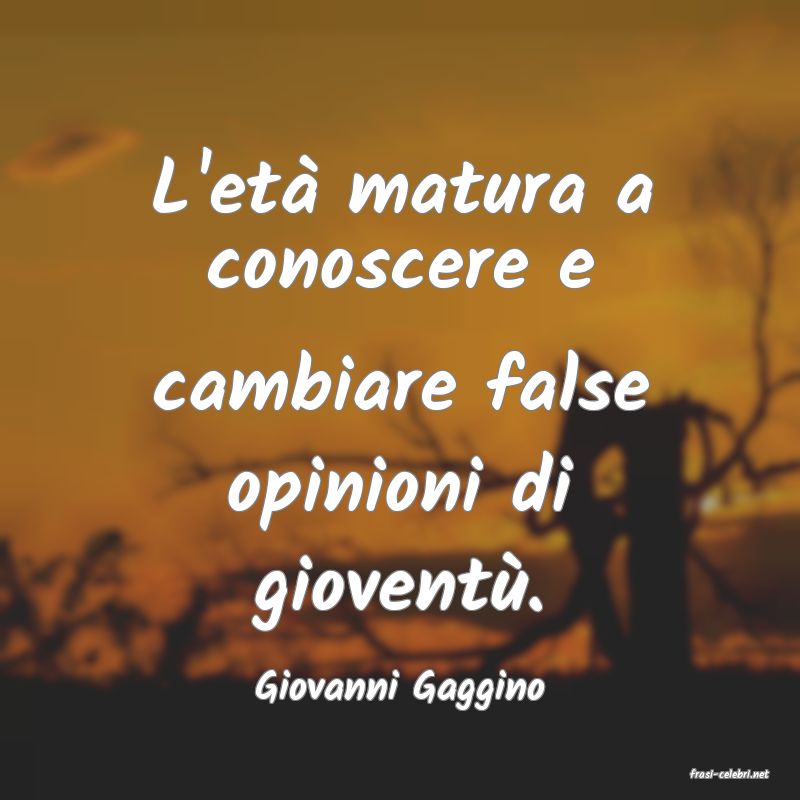 frasi di  Giovanni Gaggino
