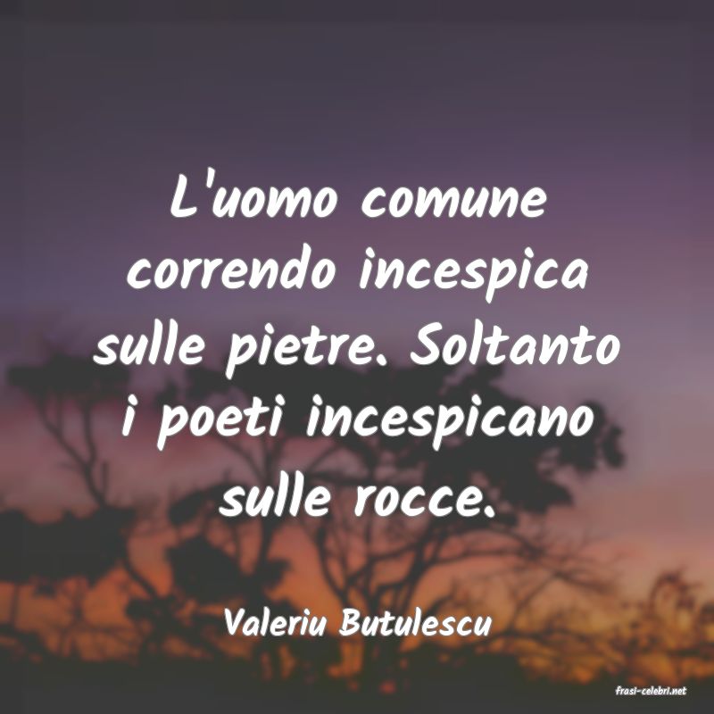 frasi di  Valeriu Butulescu
