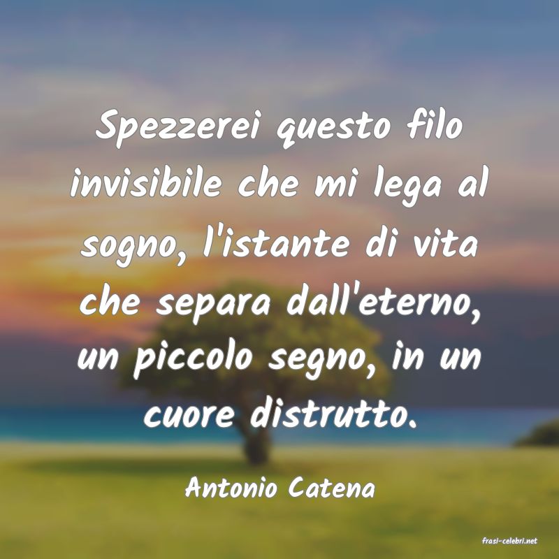 frasi di  Antonio Catena
