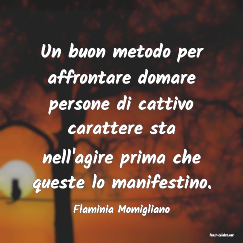 frasi di  Flaminia Momigliano
