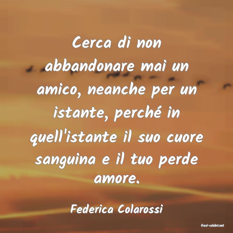 frasi di Federica Colarossi