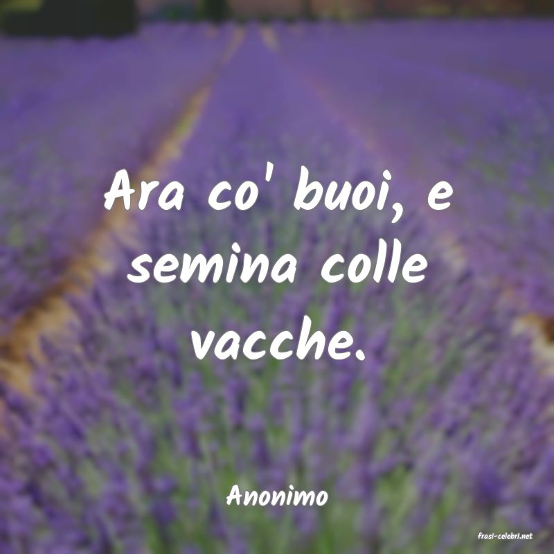 frasi di Anonimo